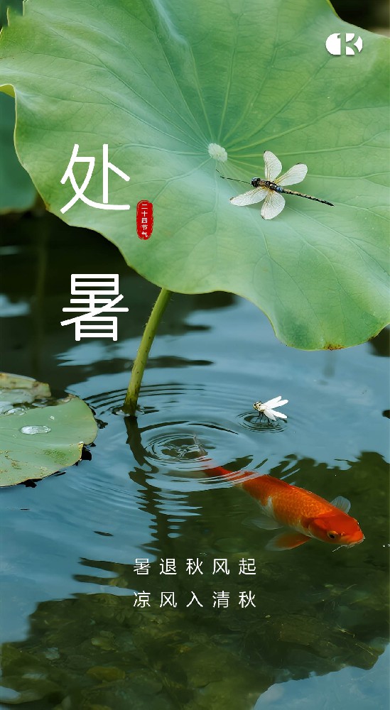 处暑至，习俗趣：暑去凉来话传统